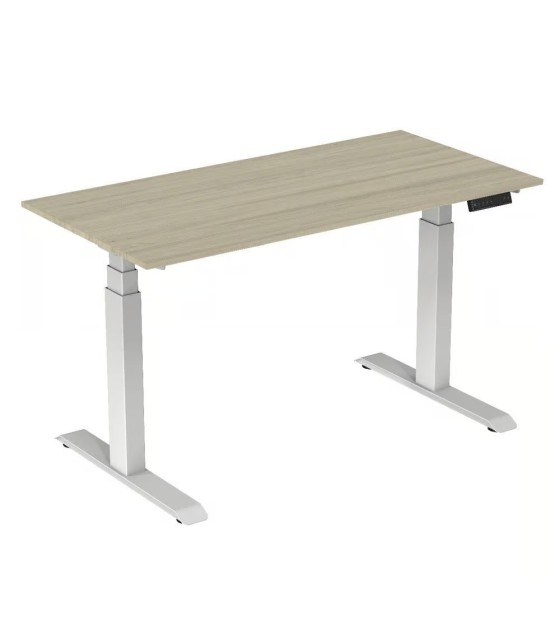 3 Stage Height Adjustable Dual Motor Table